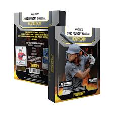 2025 Pulse Foundry Baseball Heat Seeker